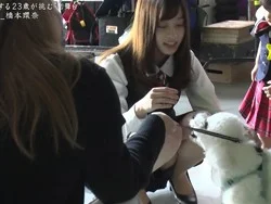 情熱大陸で橋本環奈が住宅情報館CMスーツでしゃがみパンチラ