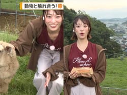 グッドモーニングで巨乳気象予報士の今井春花が前屈みでおっぱい谷間ハプニング